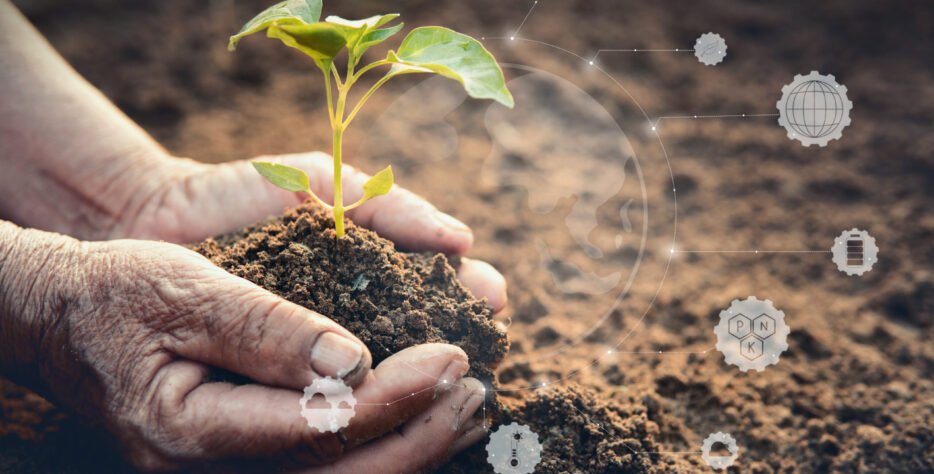 Orientación gradual para combinar prácticas sostenibles con soluciones técnicas convencionales, equilibrando rentabilidad y sostenibilidad.