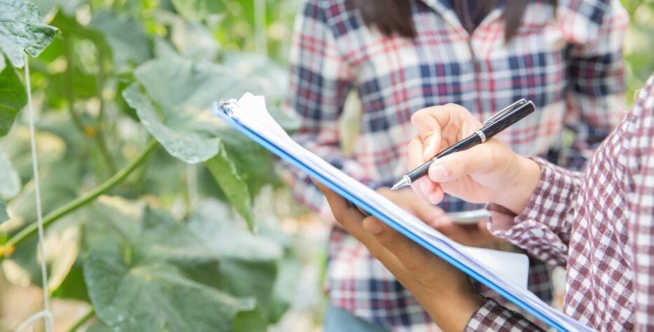 Acompañamiento especializado en cultivos tropicales con énfasis en plátano, brindando planes de manejo adaptados a cada finca para lograr mayor eficiencia y sostenibilidad.