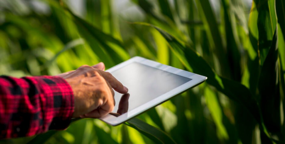 Apoyo a entidades y proyectos rurales con soluciones productivas y propuestas técnicas en cultivos tropicales.