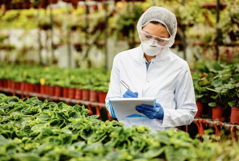 Ensayos en unidades agrícolas para probar insumos, prácticas y tecnologías que respalden la toma de decisiones.