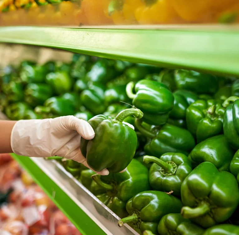 Formación a través de Escuelas de Campo y aulas sobre manejo de cultivos y elaboración de bioinsumos, con un enfoque práctico y aplicable.